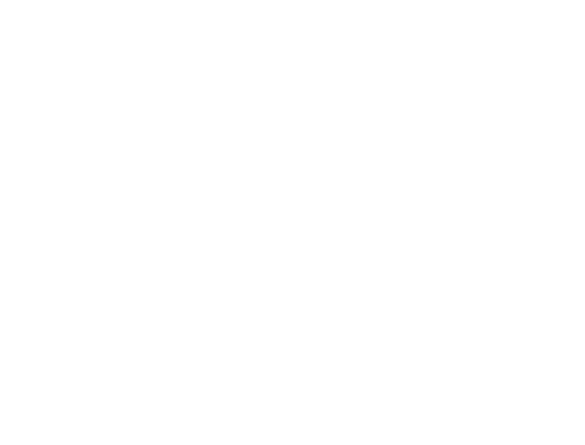 OXIPAL Logo